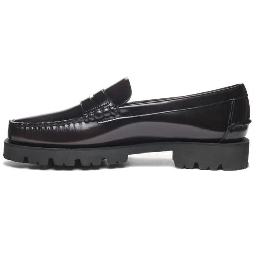 Sebago Dan Lug Loafer In Black