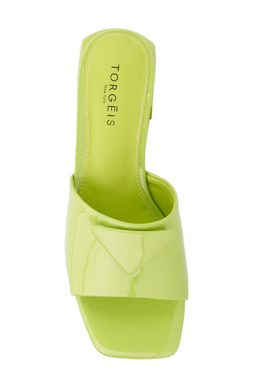 Torgeis Polyanna Block Heel Slide Sandal In Green