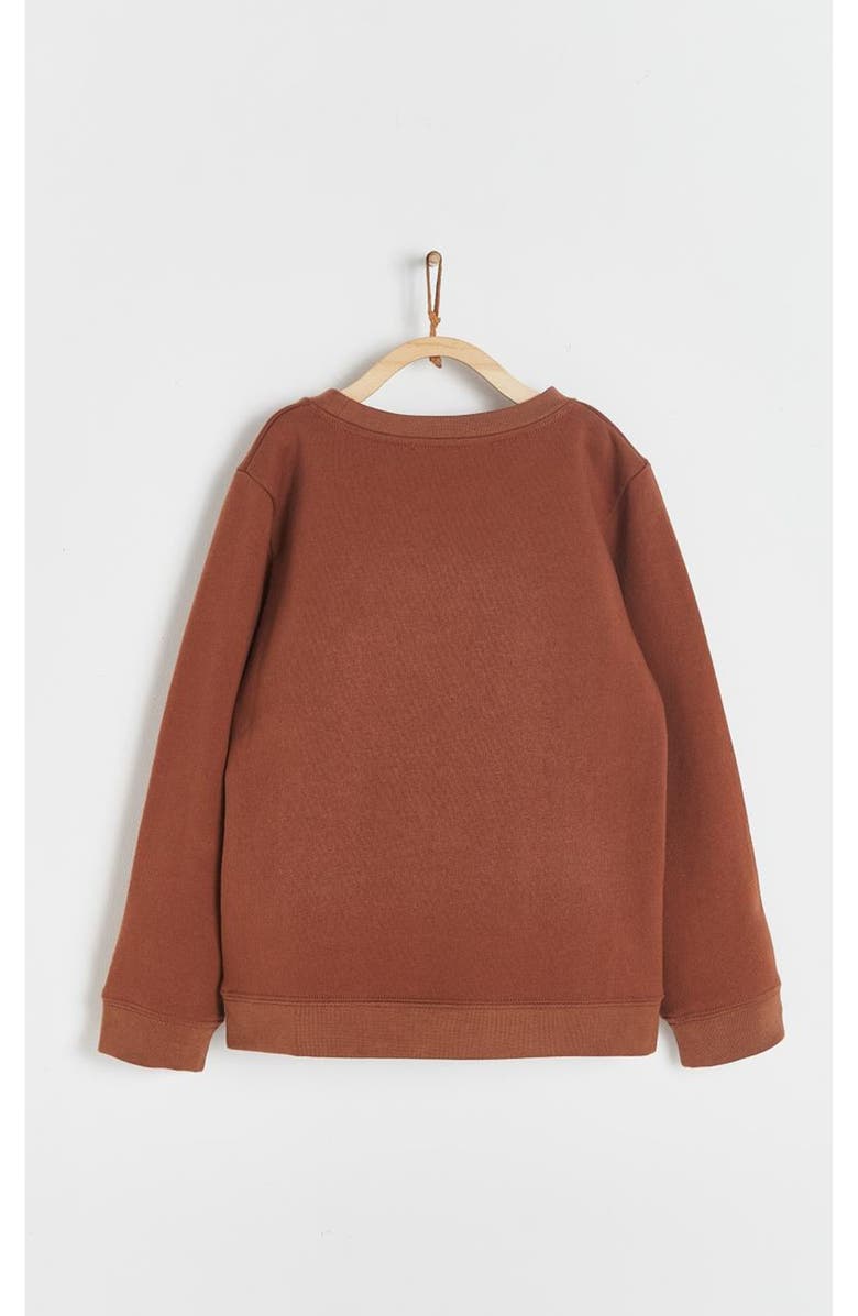 Babycottons Sweatshirt Lenny Leaves for Toddler, Alternate, color, Brown