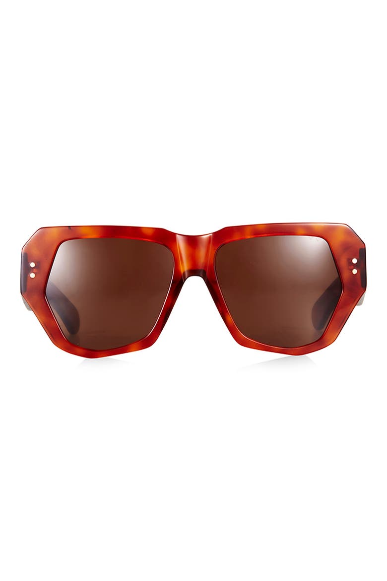 Bec & Bridge 48mm Geometric Sunglasses, Main, color, HAVANA/ BROWN