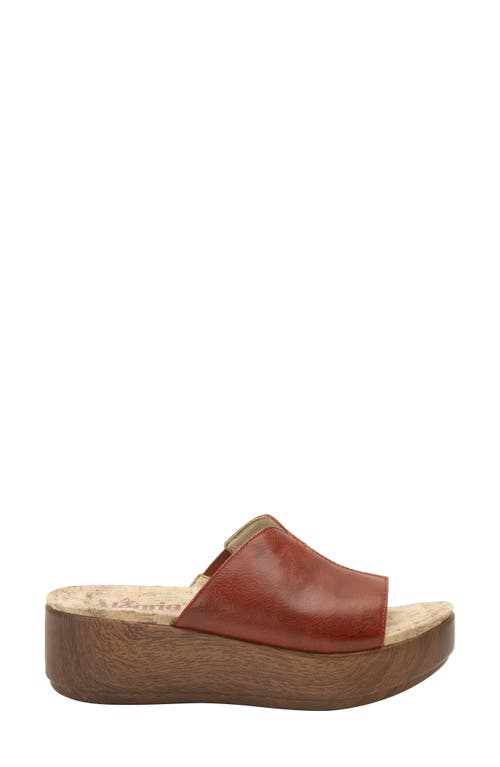 Alegria By Pg Lite Triniti Platform Wedge Slide Sandal