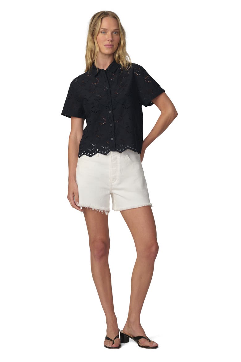 Sheer Crop Cotton Broderie Anglaise Button-Up Shirt, Alternate, color, BLACK