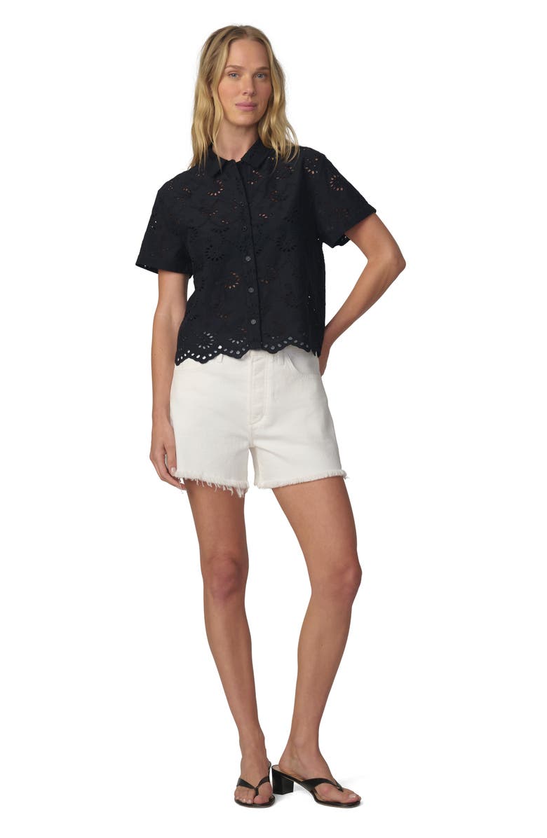 Joe's Sheer Crop Cotton Broderie Anglaise Button-Up Shirt, Alternate, color, Black
