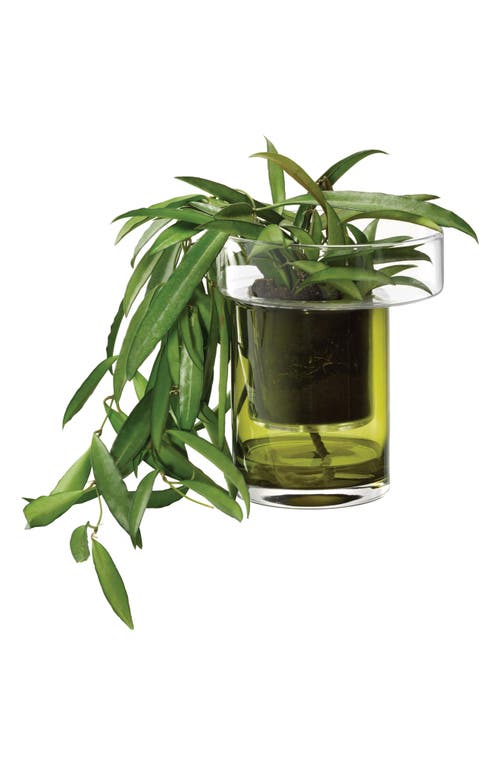Lsa Balcony Self Watering Glass Planter In Green