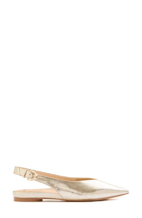Frankie4 Luna Pointed Toe Slingback Flat