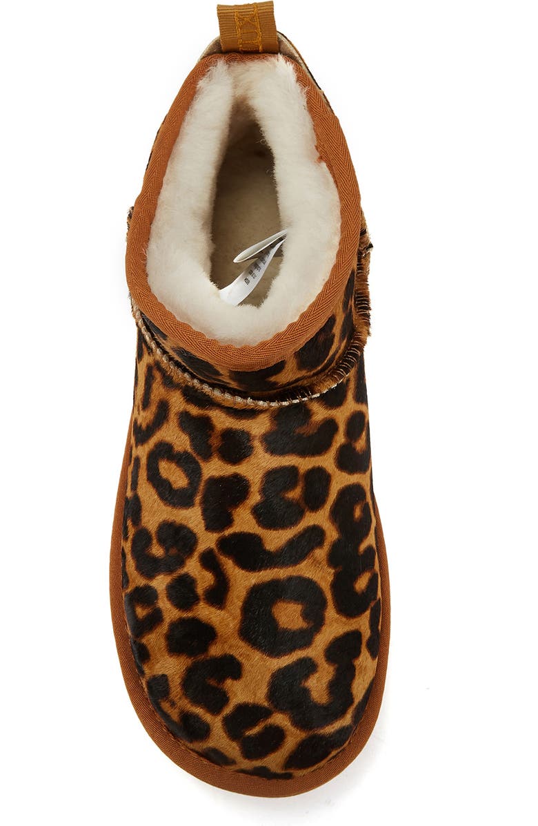 Australia Luxe Collective Cosy Ultra Short Genuine Shearling Bootie, Alternate, color, Leopard