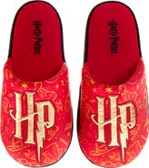 HARRY POTTER Slippers - Magical, Cozy House Shoes for Wizards and Witches
