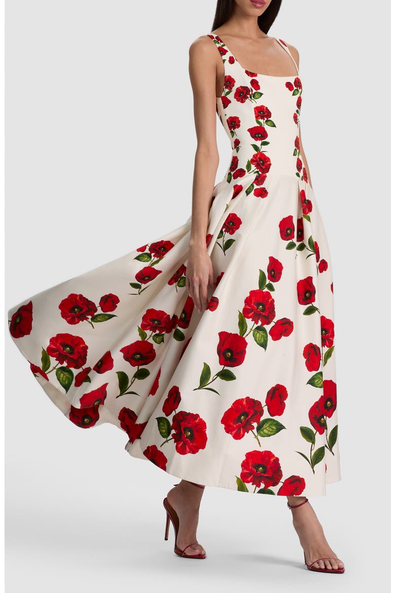 Adley Poppy Print Sleeveless Drop Waist Maxi Dress, Alternate, color, SUMMER POPPY