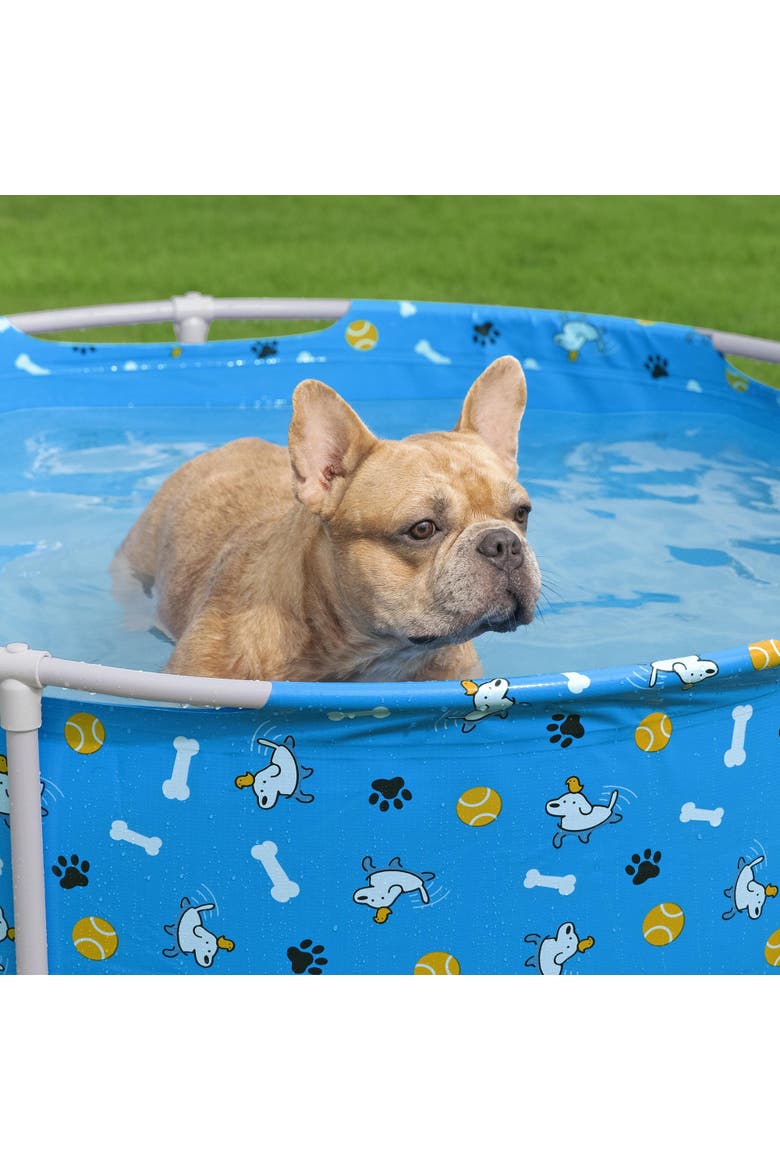Fetchin' Fun Pet Play Pool, Alternate, color, Multicolored