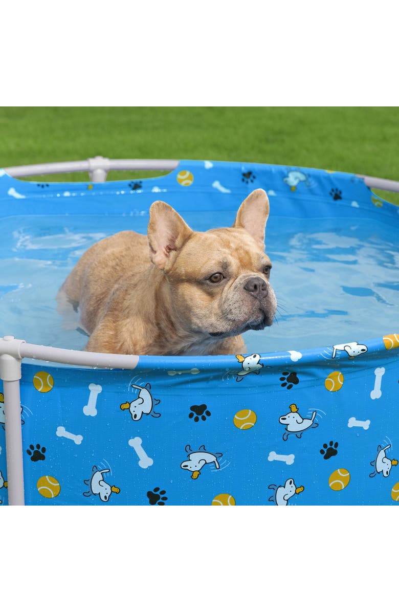 H2OGO! Fetchin' Fun Pet Play Pool, Alternate, color, Multicolored
