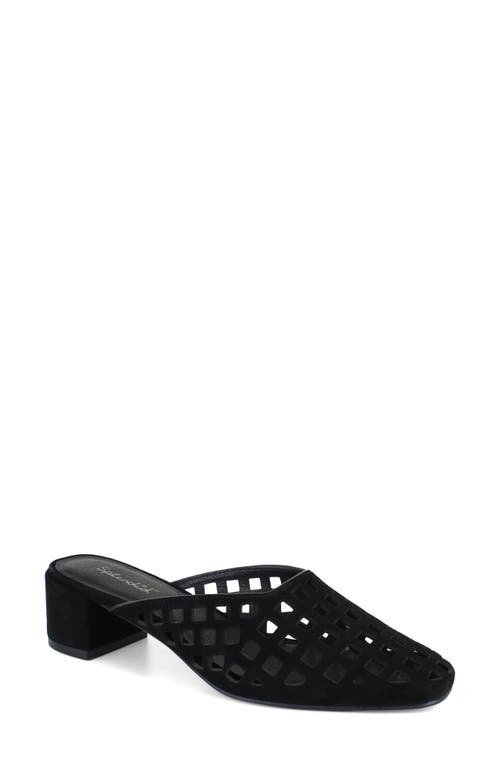 Splendid Ria Geo Cutout Mule In Black