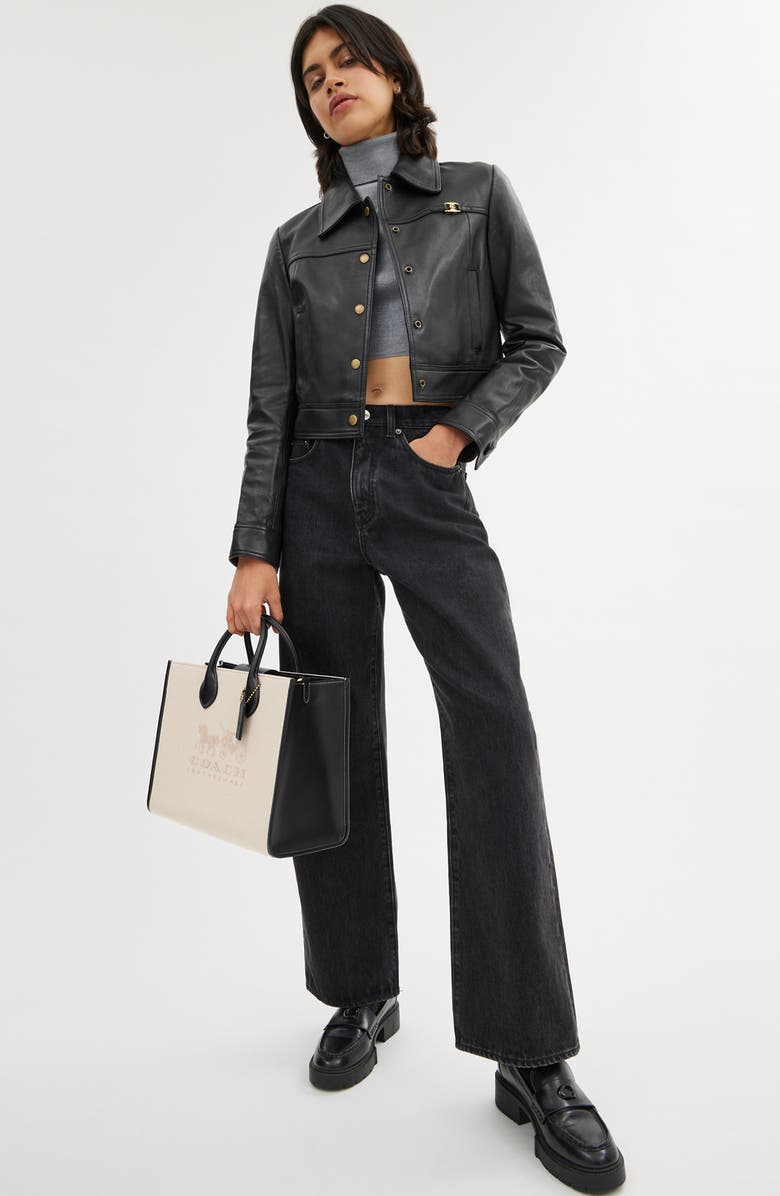 COACH Ace Canvas & Leather Tote, Alternate, color,