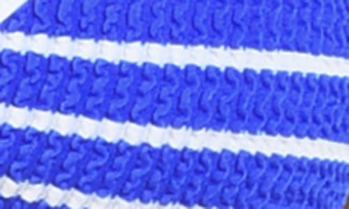 Citrus Brenton Bralette Bikini Top In Blue