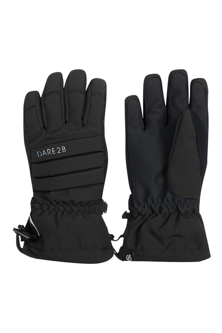 Charisma Iii Logo Ski Gloves, Alternate, color, Black