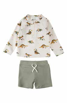 Beach Dino Print Long Sleeve Rashguard & Shorts Set