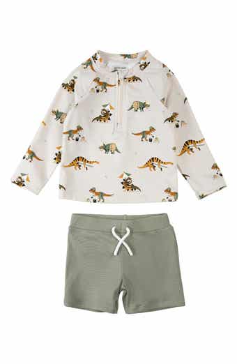 Beach Dino Print Long Sleeve Rashguard & Shorts Set