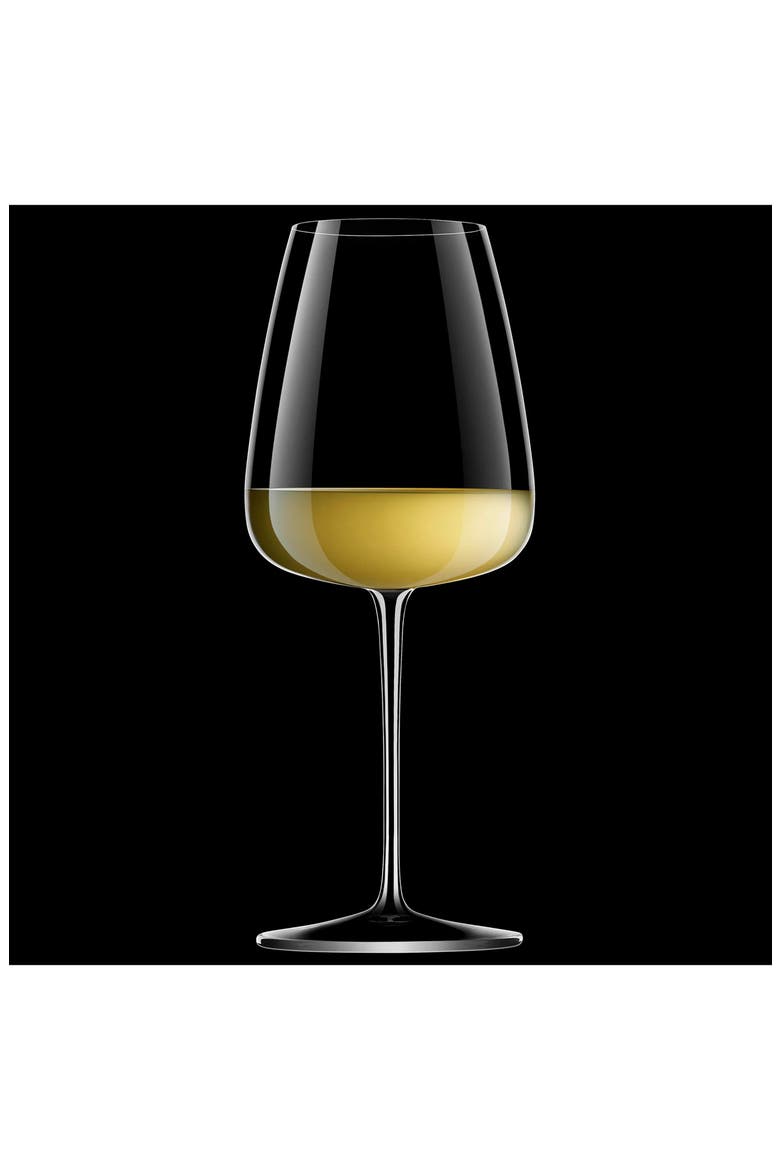 Talismano 8-Piece Stemware Set, Alternate, color, CLEAR