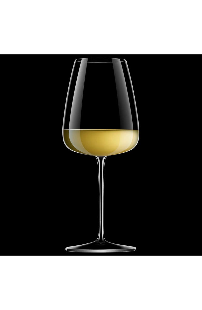 Luigi Bormioli Talismano 8-Piece Stemware Set, Alternate, color, Clear