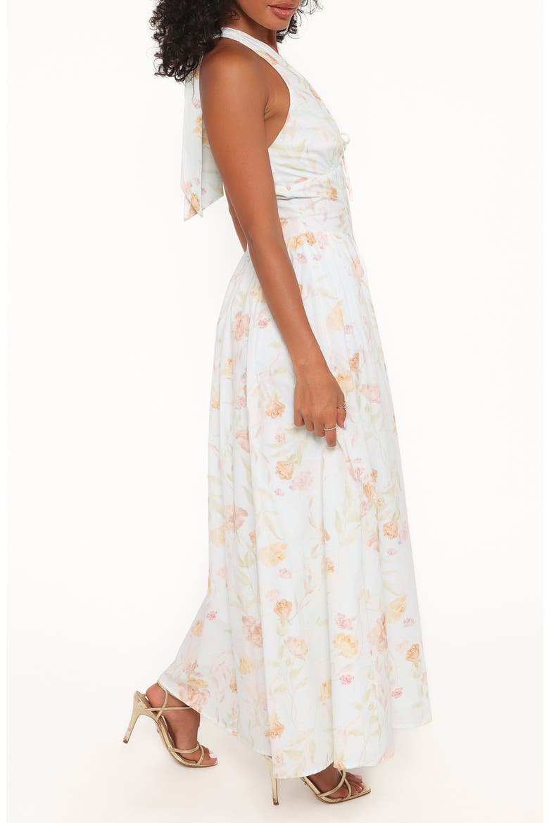 Myra Print Sleeveless Maxi Dress, Alternate, color, LIGHT MINT