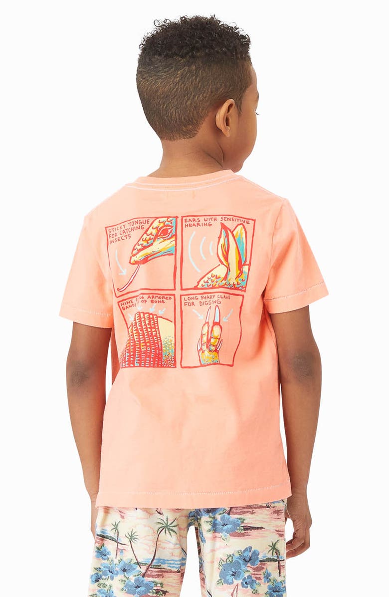 Peek Aren't You Curious Graphic Tee, Alternate, color,