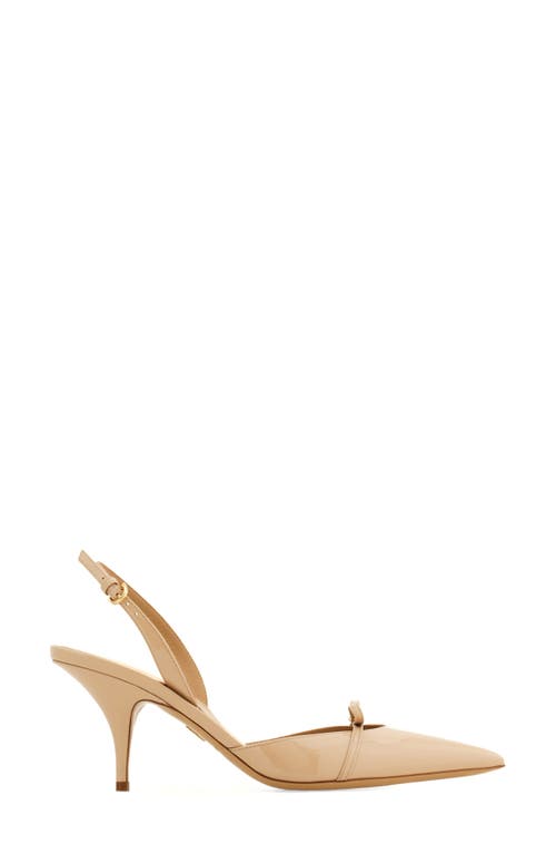 Shop Ferragamo Gylla Pointed Toe Slingback Pump In Beige