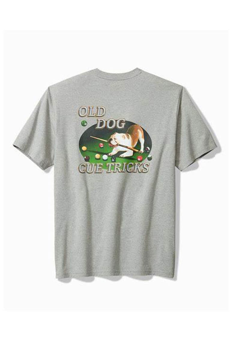 Old Dog Cue Tricks Pocket T-Shirt, Main, color, GREY HEATHER