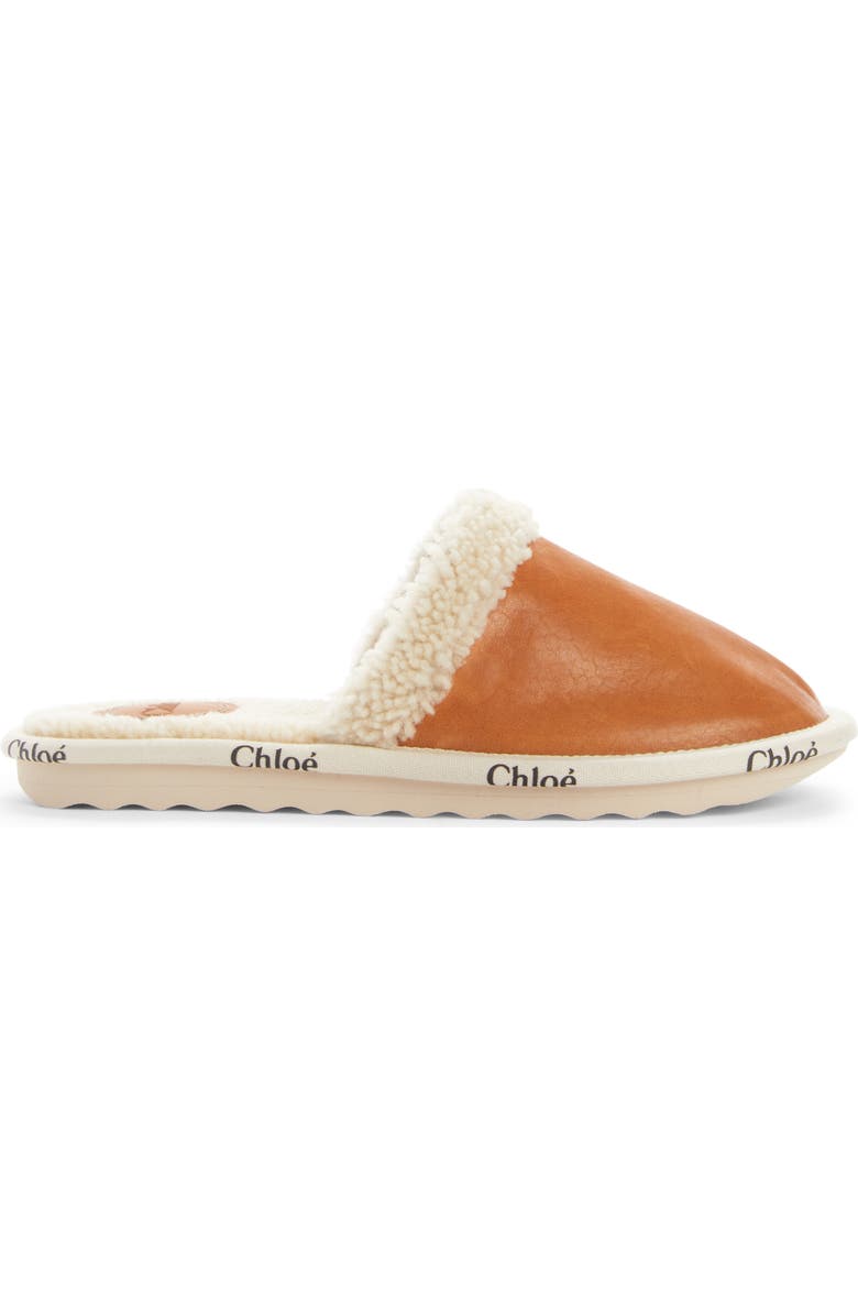 Chloé Woody Genuine Shearling Lined Mule, Alternate, color,