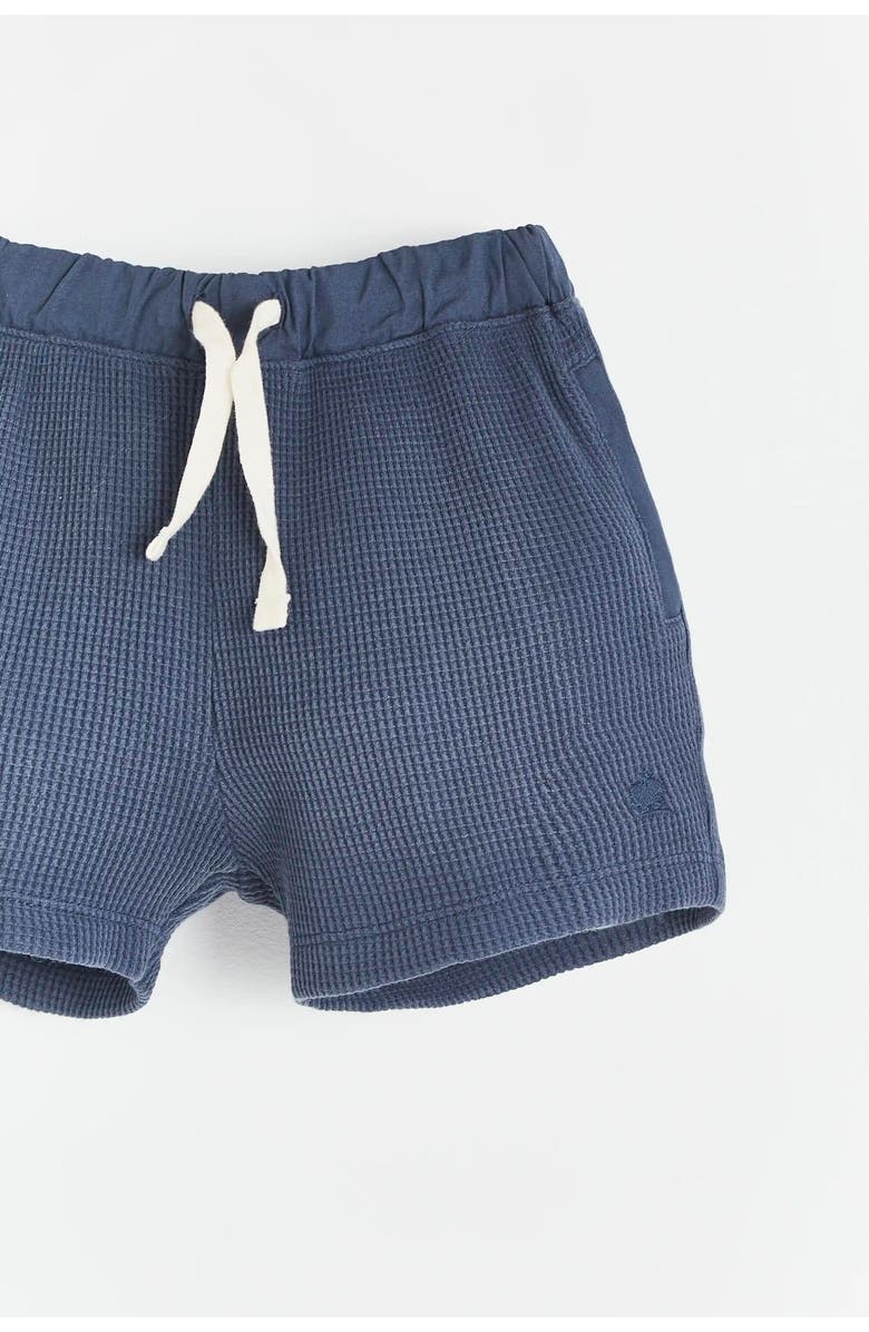 Babycottons Waffle Short for Little Kid & Big Kid, Alternate, color, Blue-Graphite