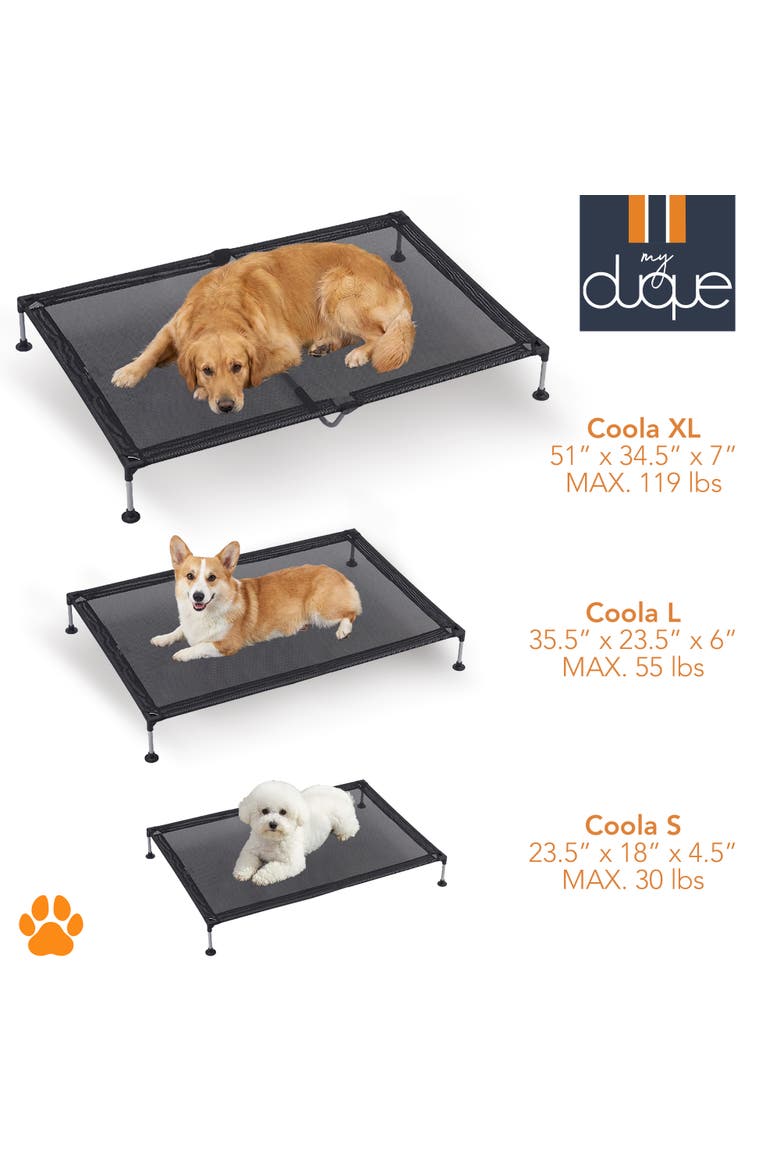 Pet Bed, 35.5 Inches x 23.5 Inches, Alternate, color, Black