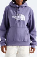 The North Face Evolution Half Dome Graphic Hoodie