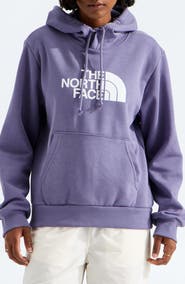 The North Face Evolution Half Dome Graphic Hoodie