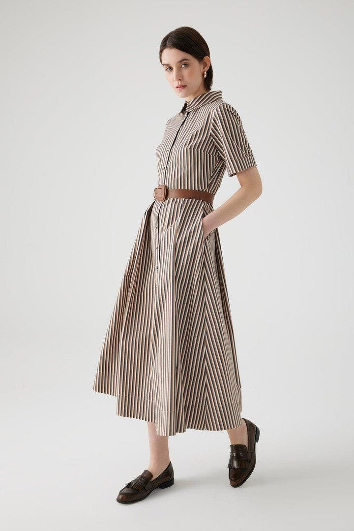 selected Brown Striped