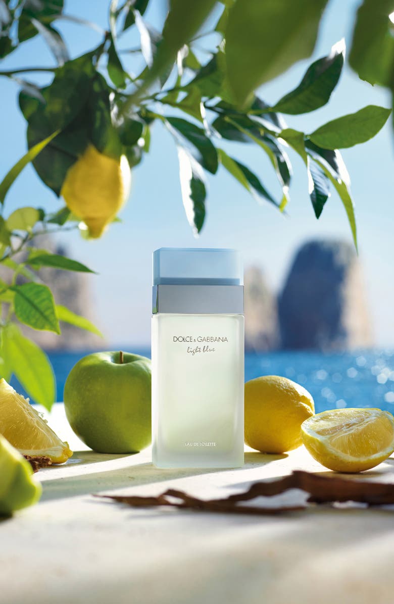 Dolce&Gabbana Light Blue Eau de Toilette, Alternate, color, 