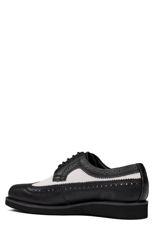 MARC NOLAN MARC NOLAN ALEXANDER WINGTIP DERBY 