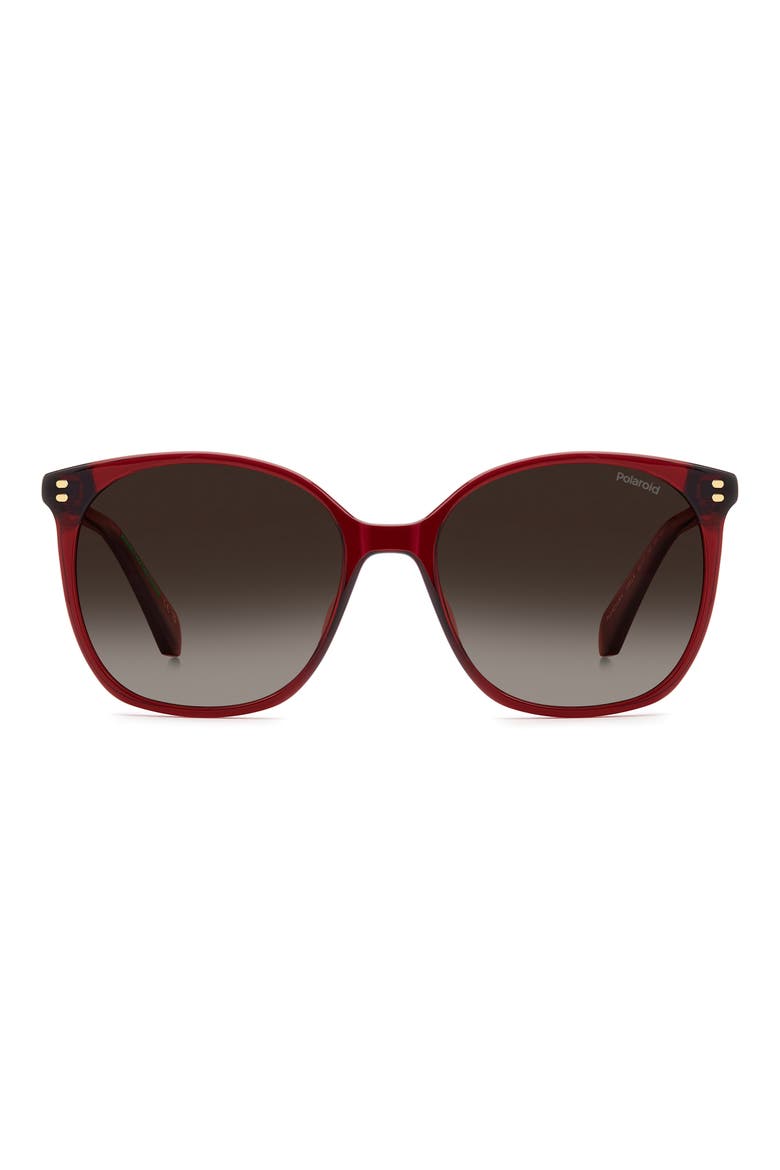 55mm Polarized Gradient Square Sunglasses, Main, color, RED/ BROWN SF PZ