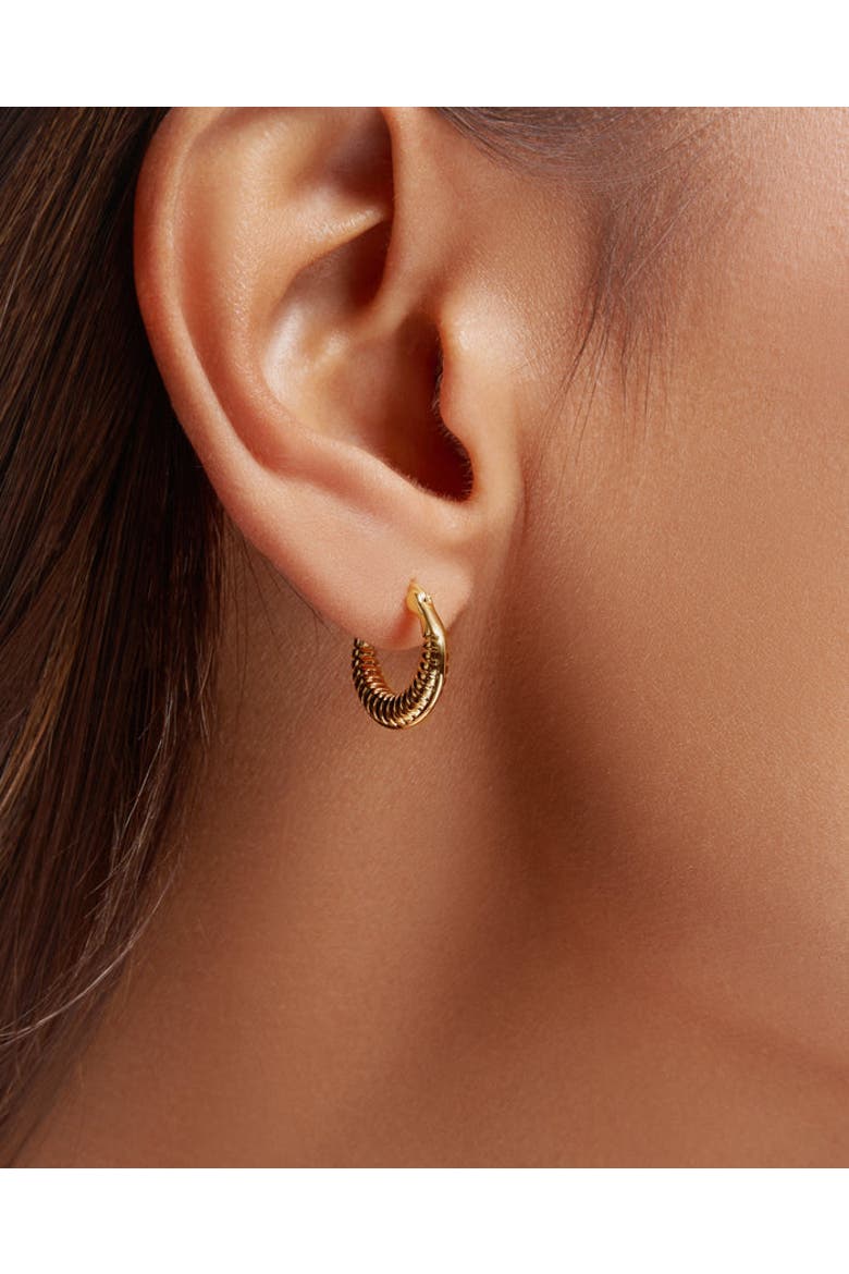 Timeless Mini Hoops, Alternate, color, Yellow Gold
