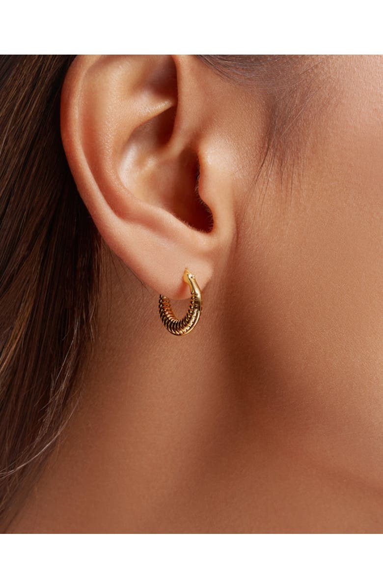 ZARUX Timeless Mini Hoops, Alternate, color, Yellow Gold