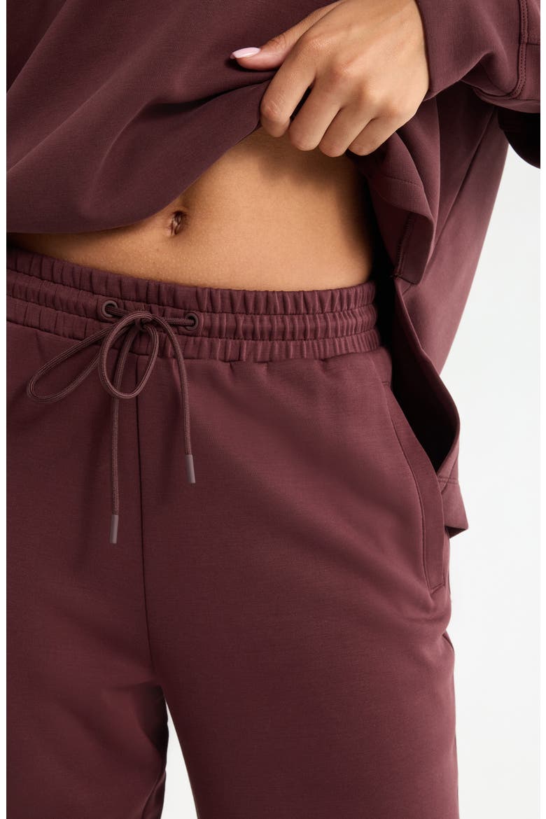 Soft Luxe Ankle Pants, Alternate, color, BROWN RISTRETTO