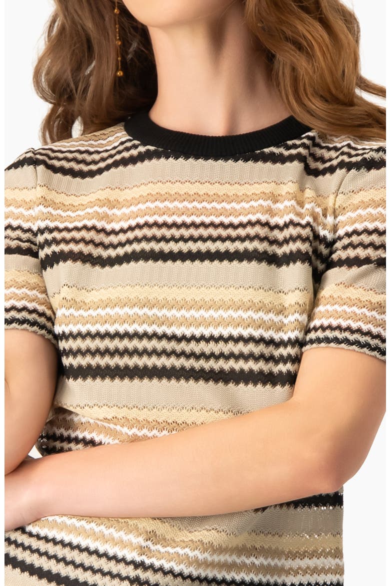 Chevron Stripe Crochet Knit Top, Short Sleeve Textured Crew Neck, Alternate, color, Beige
