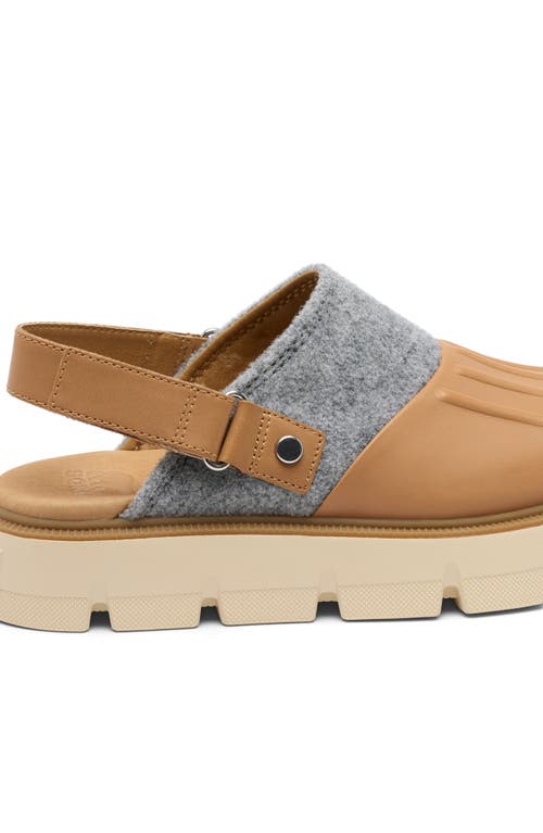 Sorel Rein Cb Slingback Clog In Brown