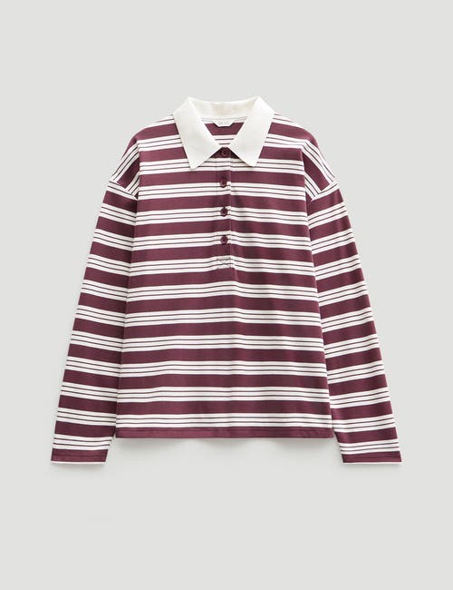 Hush Cotton Striped Polo Top In Brown