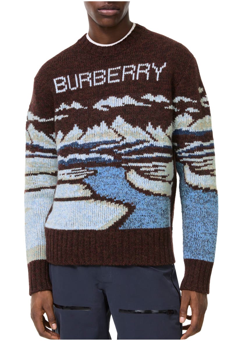 Alpine Wool Sweater, Main, color, Brown