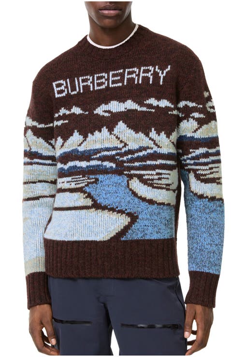 Alpine Wool Sweater