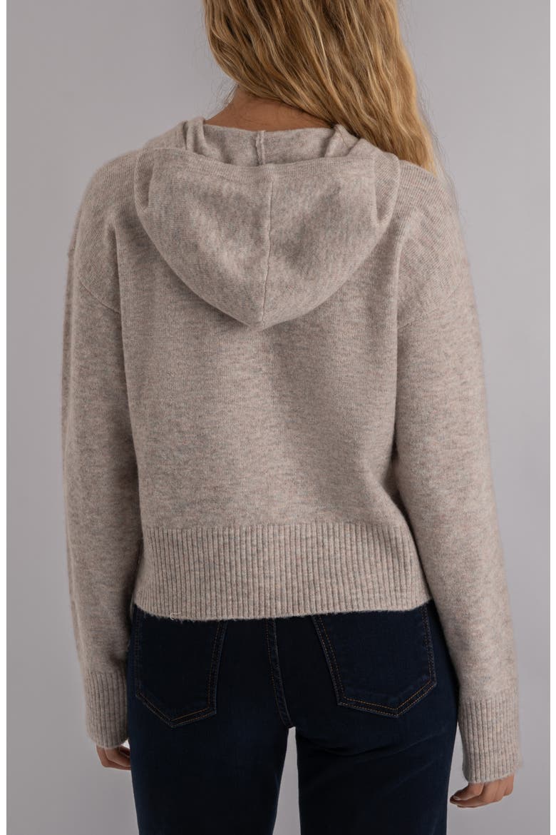 Linden Hooded Sweater, Alternate, color, TAUPE