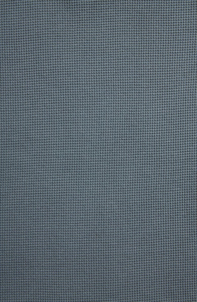 Everlane The Waffle Knit Long Sleeve Henley, Alternate, color,