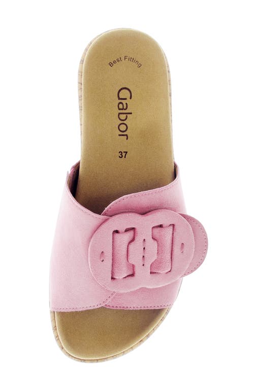 Gabor 63.760 Platform Slide Sandal