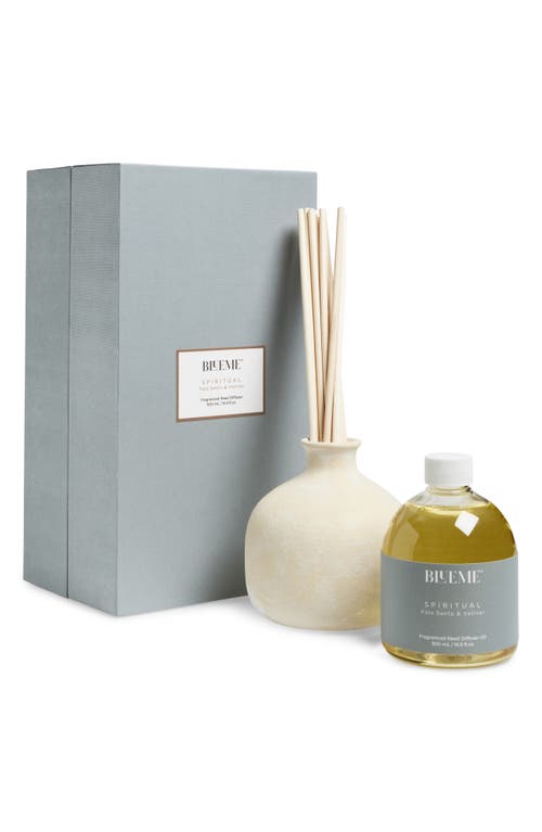 Blueme Spiritual Large Ceramic Reed Diffuser In Transparent