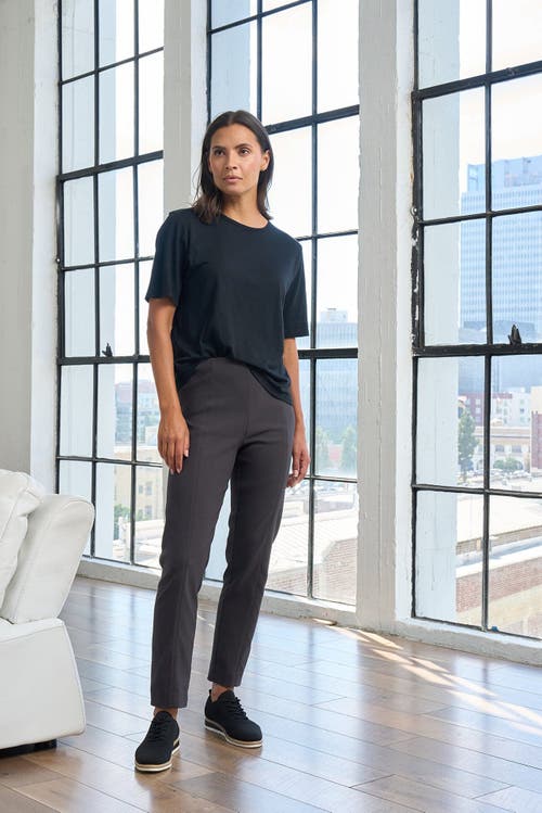 Franne Golde Slim Ankle Stretch Magic Pant In Carbon