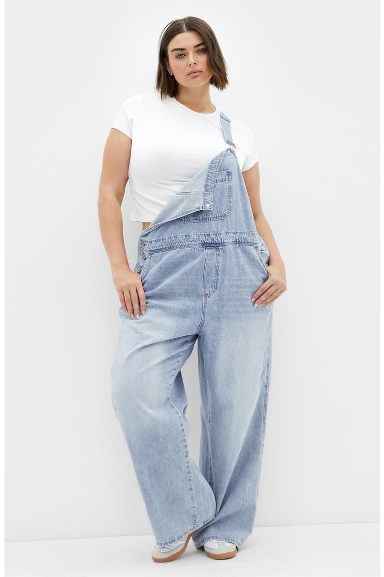Straight Leg Overalls, Alternate, color, LIGHT DENIM