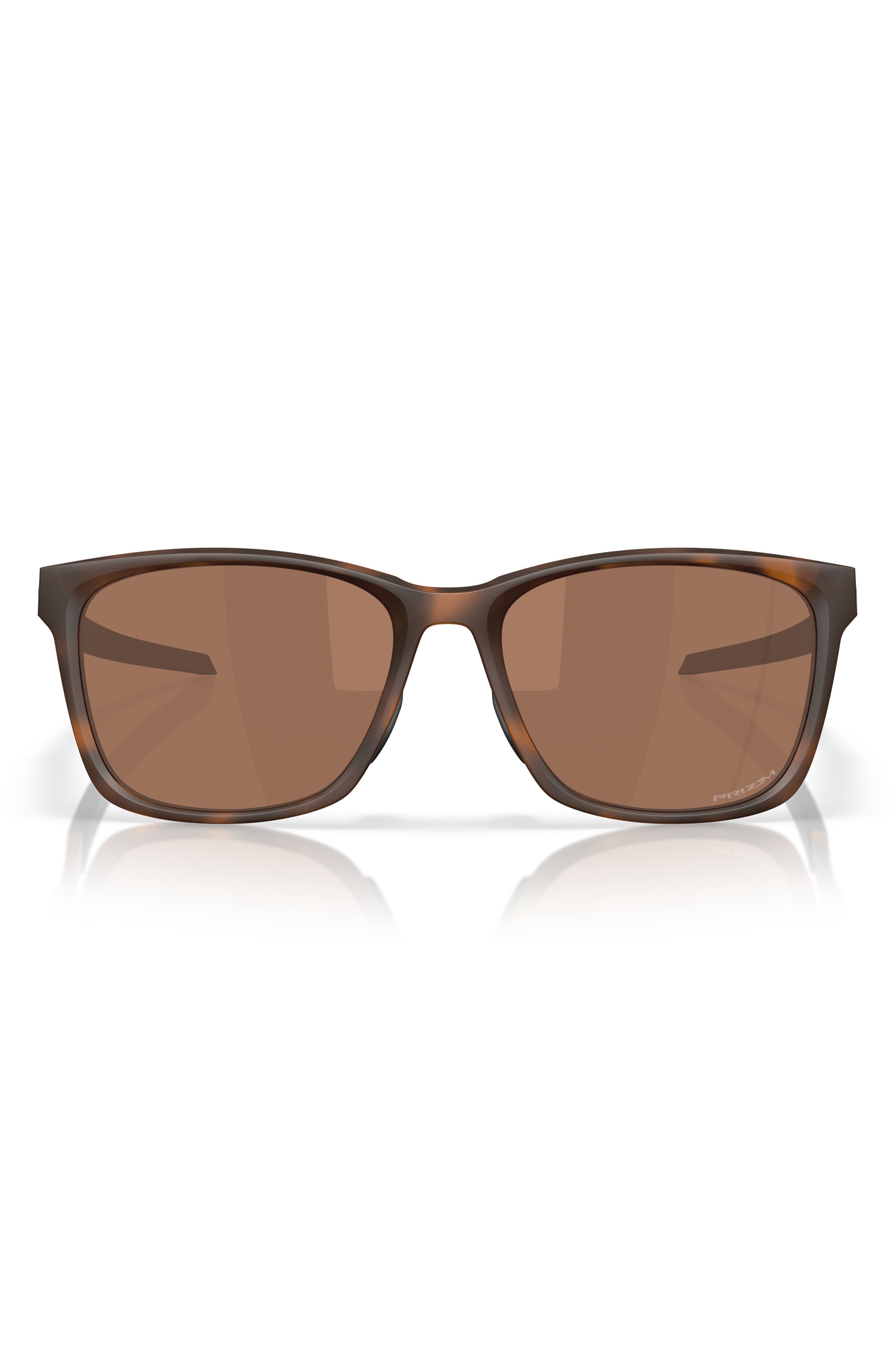 selected BROWN TORTOISE